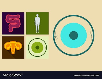 Set of medecine icons in flat style with shadow vector image