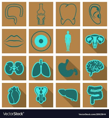 Set of medecine icons in flat style with shadow vector image
