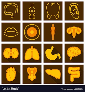 Set of medecine icons in flat style with shadow vector image
