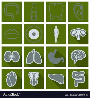Set of medecine icons in flat style with shadow vector image