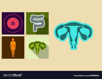 Set of medecine icons in flat style with shadow vector image
