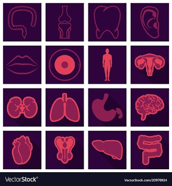 Set of medecine icons in flat style with shadow vector image