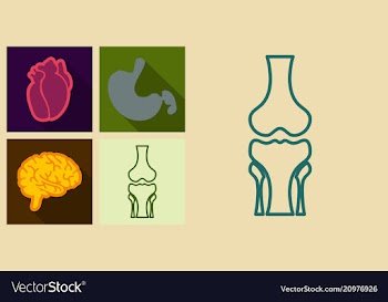 Set of medecine icons in flat style with shadow vector image