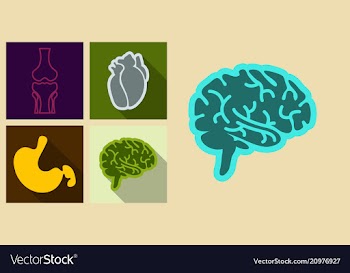 Set of medecine icons in flat style with shadow vector image