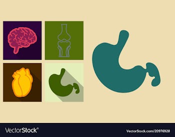 Set of medecine icons in flat style with shadow vector image