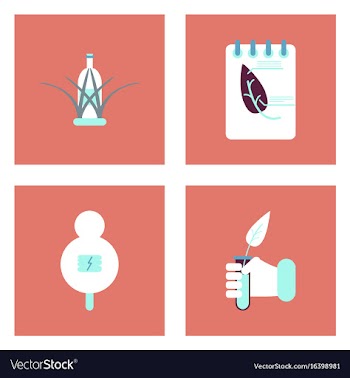Set of modern eco system icons in flet style vector image