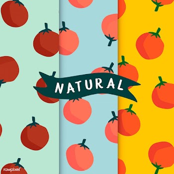 Set of natural fruit seamless patterns vector | Free stock vector - 516582