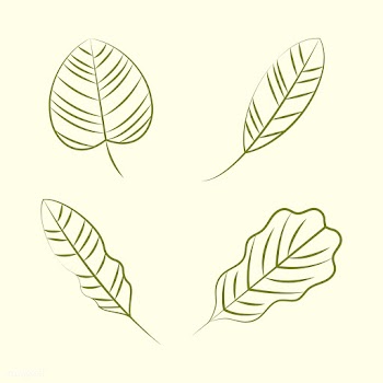 Set of nature ornament icons | Free stock vector - 494605