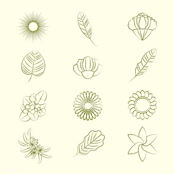 Set of nature ornament icons | Free stock vector - 494636