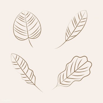 Set of nature ornament icons | Free stock vector - 494676