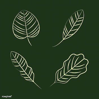 Set of nature ornament icons | Free stock vector - 494686