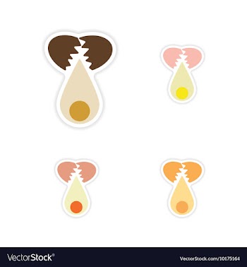 Set of paper stickers on white background broken vector image