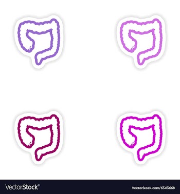 Set of paper stickers on white background Duodenum vector image