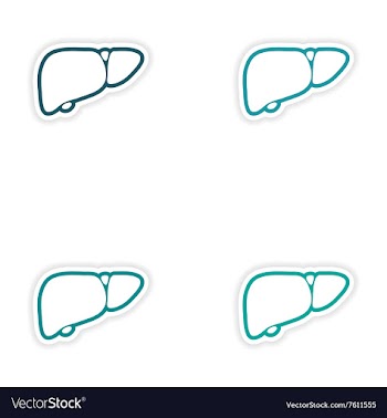 Set of paper stickers on white background human vector image