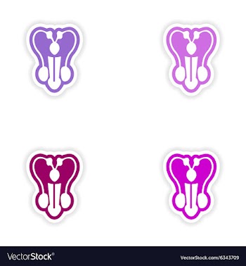 Set of paper stickers on white background penis vector image
