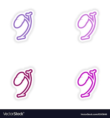 Set of paper stickers on white background spleen vector image