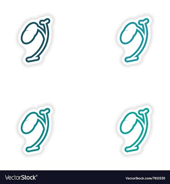 Set of paper stickers on white background spleen vector image