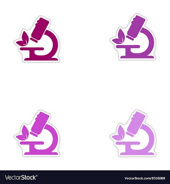 Set of paper stickers on white background vector image