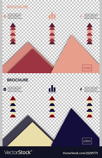Set of poster flyer pamphlet brochure cover vector image