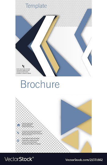 Set of poster flyer pamphlet brochure cover vector image
