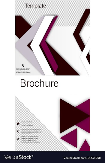 Set of poster flyer pamphlet brochure cover vector image