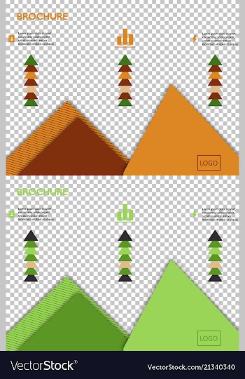 Set of poster flyer pamphlet brochure cover vector image