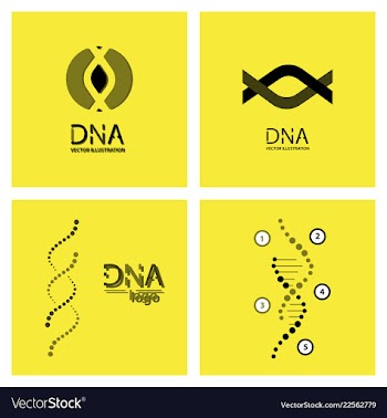 Set of science template wallpaper or banner with vector image
