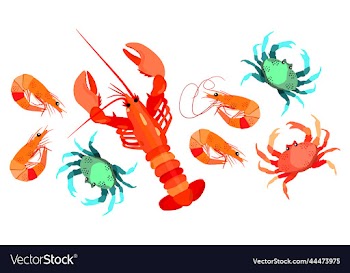 set of sea animals isolated on white background