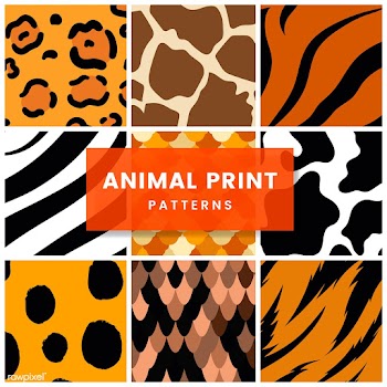 Set of seamless animal print pattern vectors | Free stock vector - 516157