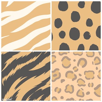 Set of seamless animal print pattern vectors | Free stock vector - 516173