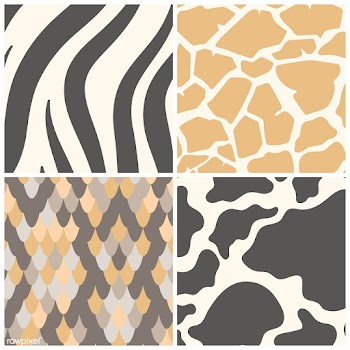 Set of seamless animal print pattern vectors | Free stock vector - 516180