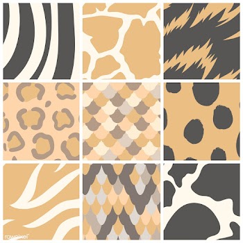 Set of seamless animal print pattern vectors | Free stock vector - 516189