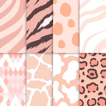 Set of seamless animal print pattern vectors | Free stock vector - 516213