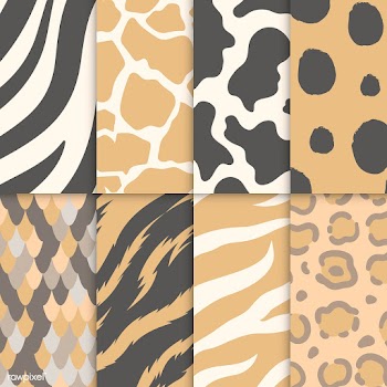 Set of seamless animal print pattern vectors | Free stock vector - 516216