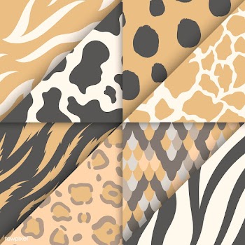 Set of seamless animal print pattern vectors | Free stock vector - 516222