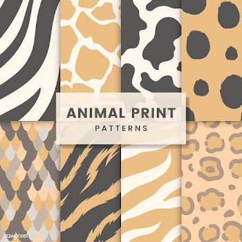 Set of seamless animal print pattern vectors | Free stock vector - 516231