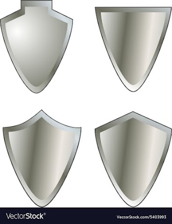 Set of shield icons vector image