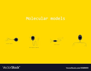 Set of structure of a motor neuron vector image