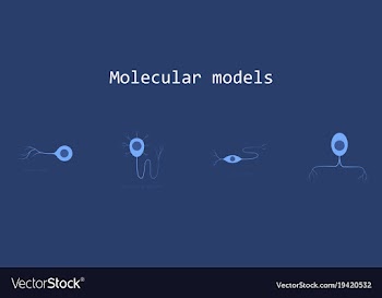 Set of structure of a motor neuron vector image