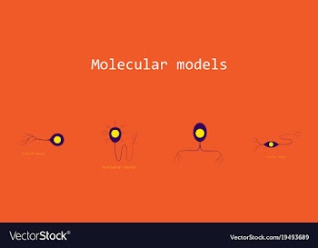 Set of structure of a motor neuron vector image
