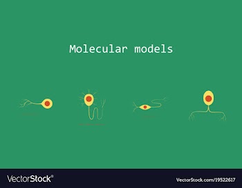 Set of structure of a motor neuron vector image
