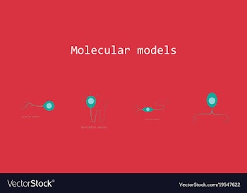Set of structure of a motor neuron vector image