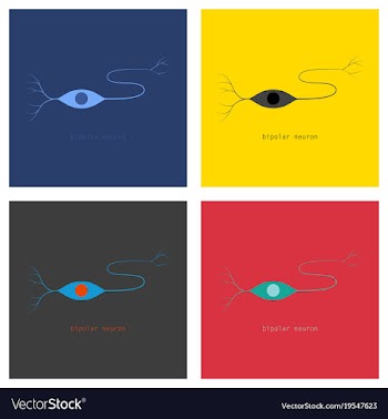 Set of structure of a motor neuron vector image