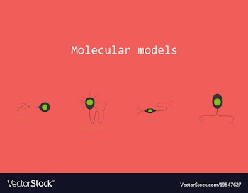Set of structure of a motor neuron vector image