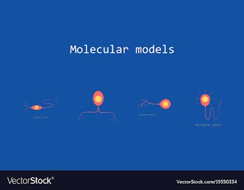 Set of structure of a motor neuron vector image