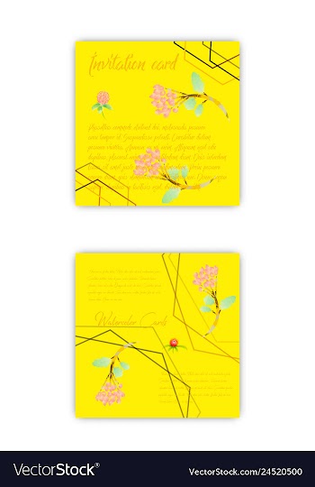 Set of summer vintage floral greeting card with vector image