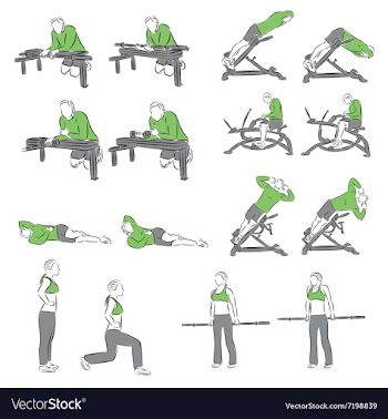 Set of systematic bodybuilding exercises vector image