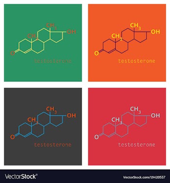 Set of testosterone male sex hormone androgen vector image
