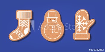 Set of traditional sweet baked christmas cookie