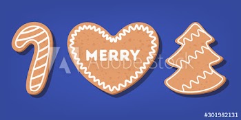 Set of traditional sweet baked christmas cookie
